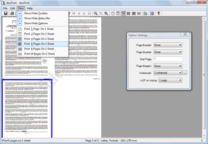 Multiple Pages